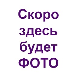 Ли Ирина Александровна.
