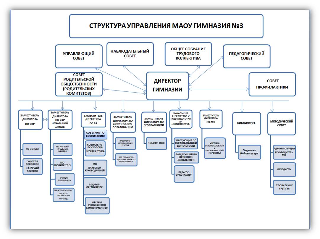 СТРУКТУРА УПРАВЛЕНИЯ МАОУ ГИМНАЗИЯ №3.